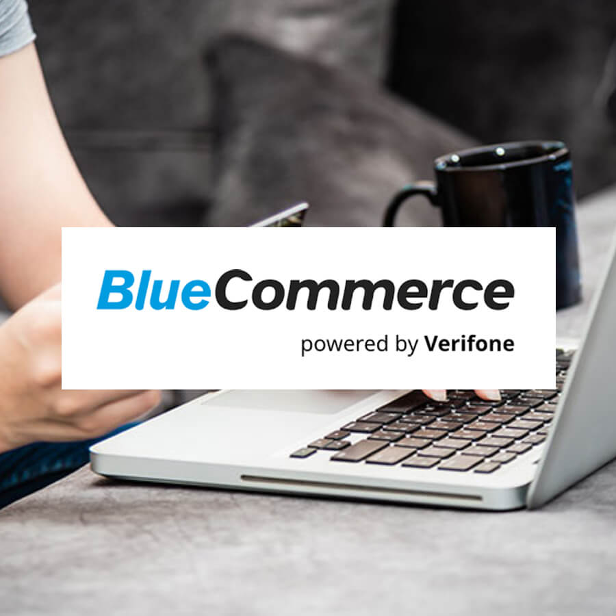 payments-bluecommerce-company